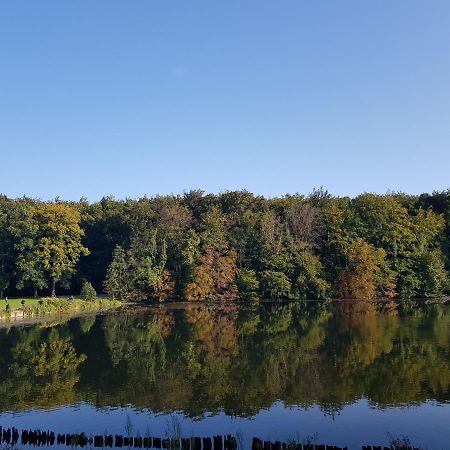 Hotel Maison Des Fleurs Bruksela Zewnętrze zdjęcie